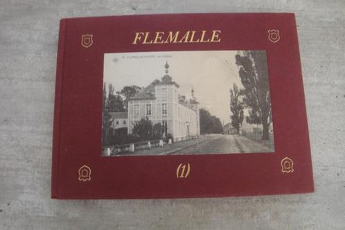 FLEMALLE (1), Boeken, Geschiedenis | Stad en Regio, Gelezen, Ophalen of Verzenden