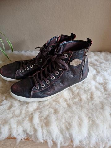 Harley Davidson sneakers beschikbaar voor biedingen