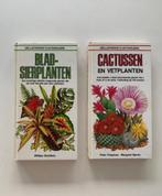 Bladsierplanten, William Davidson, Cactussen en vetplanten,, Boeken, Ophalen of Verzenden, Zo goed als nieuw, Tuinieren en Tuinplanten
