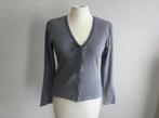 Grijze vest/gilet Terre Bleue, Kleding | Dames, Maat 38/40 (M), Terre Bleue, Ophalen of Verzenden, Grijs