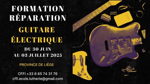 Formation à l'entretien et la réparation d'une guitare élect, Muziek en Instrumenten, Snaarinstrumenten | Gitaren | Elektrisch