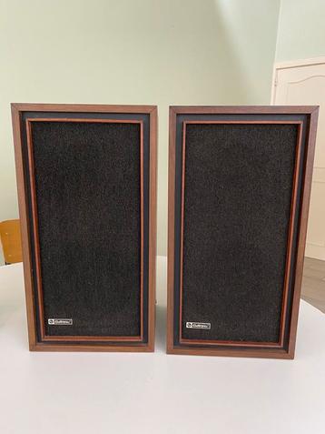 Electro Voice - Seven B Vintage Speakers