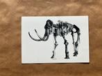 Fossiele Gewervelde Dieren Van Belgie Nr. 9 Mammoet, Verzamelen, Postkaarten | Dieren, Ophalen of Verzenden, Ongelopen, Overige soorten