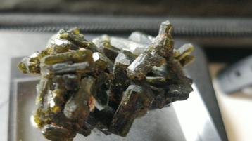 Epidoot cluster uit Diakon, Mali beschikbaar voor biedingen