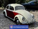 Volkswagen Beetle Oval 1956 | Route 66 auctions, Auto's, Oldtimers, Volkswagen, Wit, Bedrijf, Handgeschakeld