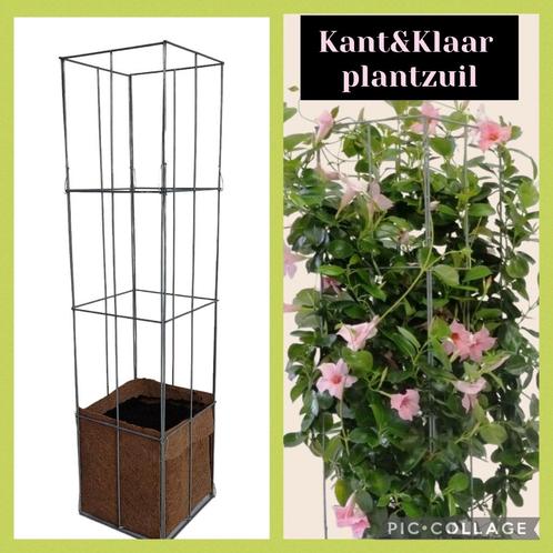 klimplantsteun plantensteun draadrekken draadzuil klimplant, Tuin en Terras, Planten | Tuinplanten, Vaste plant, Ophalen of Verzenden