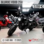 Bluroc V-Bob 250 2023 [1401km]