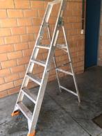 Industriële trapLadder Petry, Doe-het-zelf en Bouw, Ladders en Trappen, Ophalen, Gebruikt, Ladder