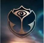 Tomorrowland 2025 ticket 18/07/2025- Magical Friday Pleasure, Eén persoon