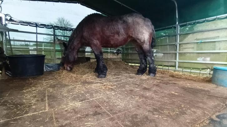 Engage demandeur d emploi contrat ALE temporaire, Vacatures, Vacatures | Overige Vacatures, Overige vormen, Geschikt als bijbaan