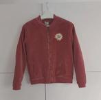 Piñata Pum jas 12 jaar, Neuf, Enlèvement ou Envoi, Pinata pum, Fille