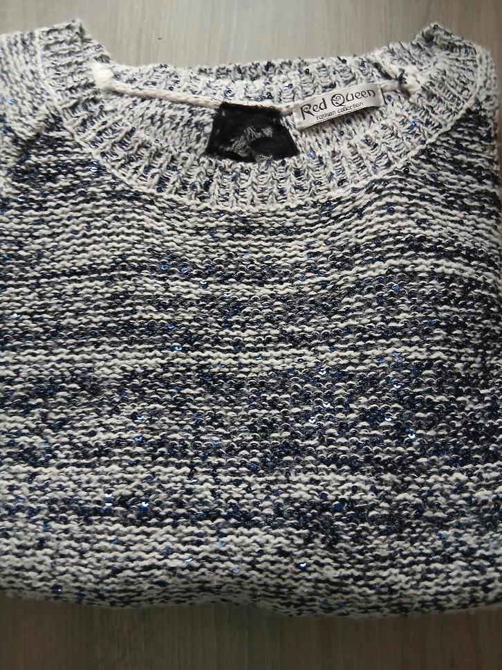 Pull à sequins bleu L, Vêtements | Femmes, Pulls & Gilets, Comme neuf, Taille 42/44 (L), Bleu, Enlèvement