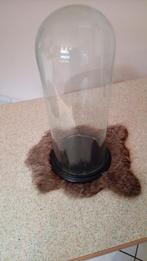 Grote glazen antieke stolp, Ophalen, Gebruikt