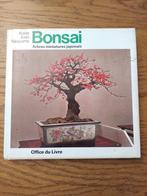 Bonsai - Japanse miniatuurbomen, Overige soorten, Koide Kato Takeyama, Ophalen of Verzenden, Zo goed als nieuw