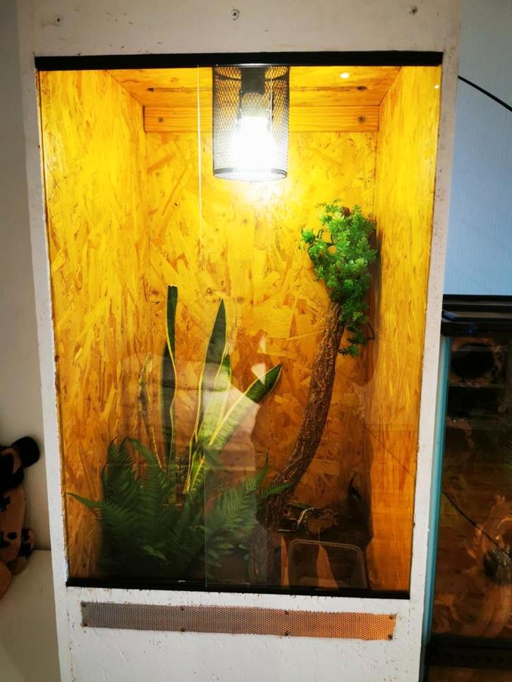 terrarium OSB, Dieren en Toebehoren, Reptielen en Amfibieën | Toebehoren, Zo goed als nieuw, Verlichting, Ophalen