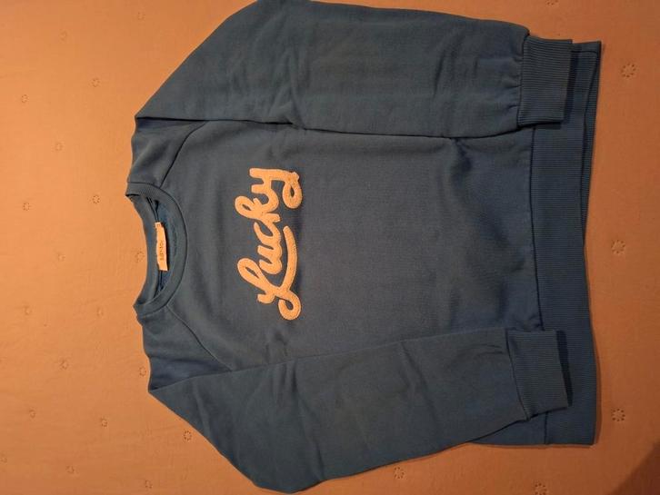 Sweater in zeer goede staat., Kinderen en Baby's, Kinderkleding | Maat 128, Zo goed als nieuw, Meisje, Trui of Vest, Verzenden