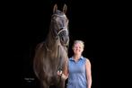 Paardrijles en training aangeboden, Ne s'applique pas, 160 à 165 cm, 7 à 10 ans, Cheval de récréation