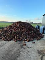 Voederbieten, Zakelijke goederen, Ophalen