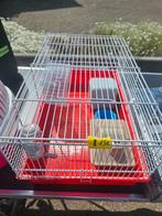 Kleine hamsterkooi, Ophalen, Zo goed als nieuw
