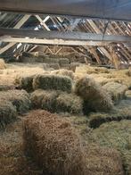 Kleine balen hooi/stro, Ophalen of Verzenden