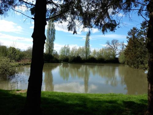 ETANG A LOUER A L'ANNEE., Jardin & Terrasse, Étangs, Utilisé, Enlèvement