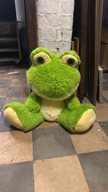 Kikkerbeer 55 cm hoog beschikbaar voor biedingen