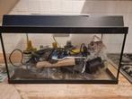 Juwel koralux aquarium 60liter, Ophalen, Gebruikt