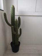 Kunstcactus, Huis en Inrichting, Cactus, Minder dan 100 cm, Ophalen