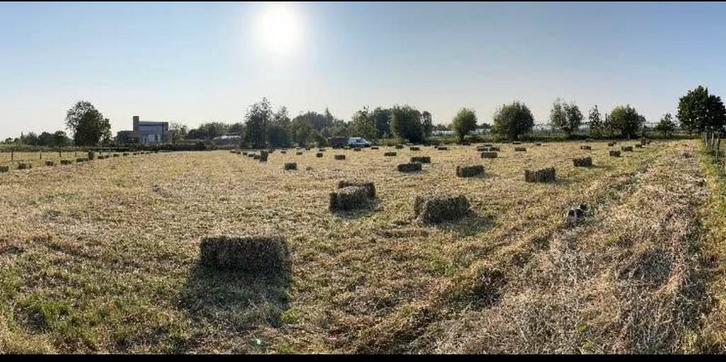 Hooi met laag eiwitgehalte, Dieren en Toebehoren, Dierenvoeding, Vee, Ophalen