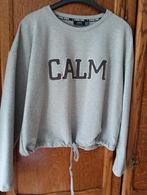 Sweater trui met tekst, Ophalen of Verzenden, Zo goed als nieuw