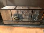 Terrarium te koop 60x45x1m30, Dieren en Toebehoren, Ophalen, Zo goed als nieuw