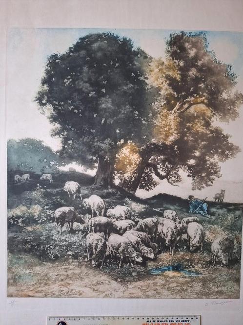 Fraaie ets/aquatint van Alfred Plauzeau Kudde schapen, Antiek en Kunst, Kunst | Etsen en Gravures, Ophalen of Verzenden