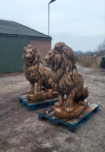Grote leeuwen oud roest look beschikbaar voor biedingen