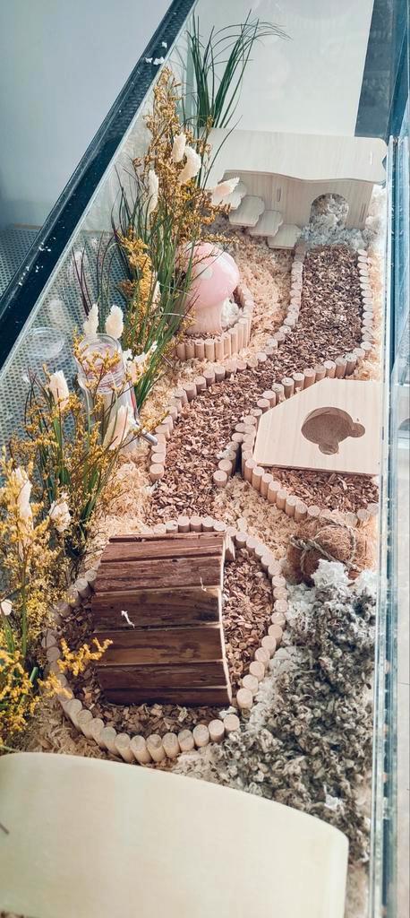 Hamster terrarium 100x30x40  ZONDER TOEBEHOREN, Dieren en Toebehoren, Knaagdieren en Konijnen | Hokken en Kooien, Hamster, Ophalen
