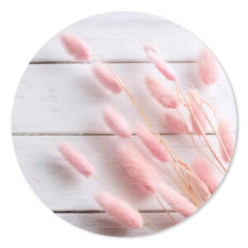 Muurcirkel Lagarus roze, Huis en Inrichting, Woonaccessoires | Wanddecoraties, Nieuw, Ophalen of Verzenden