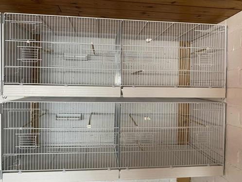 Kweekkooien, Dieren en Toebehoren, Vogels | Hokken en Kooien, Zo goed als nieuw, Ophalen