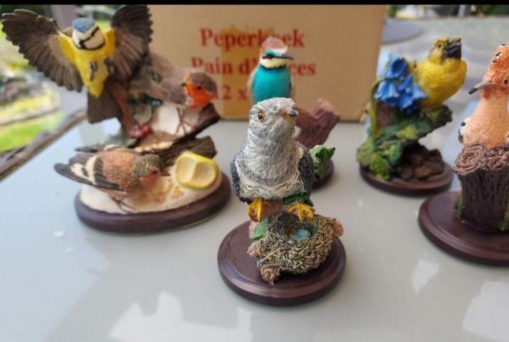 Vogelcollectie, Verzamelen, Dierenverzamelingen, Vogel, Ophalen