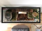 Hamster Terrarium van Glas, Nieuw, Minder dan 60 cm, Ophalen of Verzenden, 75 tot 110 cm