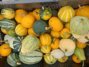 Sierfruit  beschikbaar voor biedingen