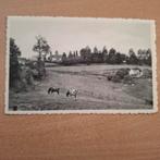 Mont-Saint-Aubert, Enlèvement ou Envoi