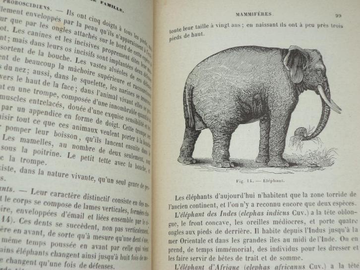 J. Hannon Traité élémentaire de Zoologie natuurboek dieren, Boeken, Natuur, Vogels, Ophalen of Verzenden