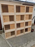 Kweekkooien voor duiven op populierenroosters van 12 mm, Hobby en Vrije tijd