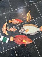 décoration murale poissons exotiques en bois, Enlèvement ou Envoi
