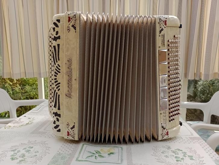 accordeon, Muziek en Instrumenten, Overige Muziek en Instrumenten, Gebruikt, Ophalen
