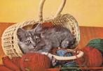 KAT    3, Verzenden, Gelopen, Hond of Kat