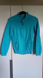blauw/turquoise vestje green ice maat s, Vêtements | Femmes, Pulls & Gilets, Comme neuf, Taille 36 (S), Bleu, Green Ice