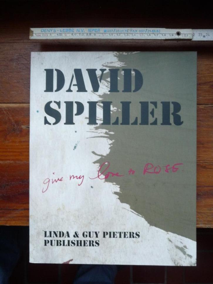 DAVID SPILLER - KUNSTBOEK, Boeken, Kunst en Cultuur | Beeldend, Nieuw, Schilder- en Tekenkunst, Ophalen of Verzenden