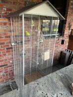Vogelkooi / Volière met 3 parkieten, Dieren en Toebehoren, Ophalen, Zo goed als nieuw, Vogelkooi
