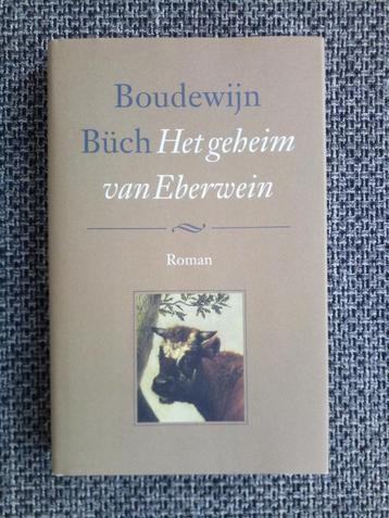 Het geheim van Eberwein - Boudewijn Büch