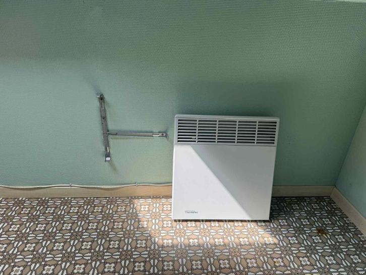 Elektrische verwarming, Doe-het-zelf en Bouw, Verwarming en Radiatoren, Gebruikt, Radiator, 30 tot 80 cm, Ophalen
